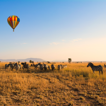 Reisen, die f&uuml;r immer beiben!